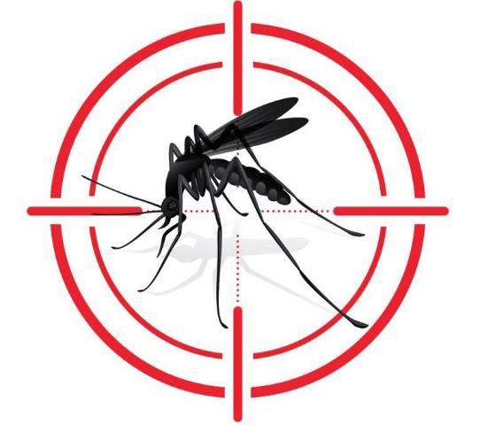 Misura di lotta alle zanzare: ordinanza n. 49 