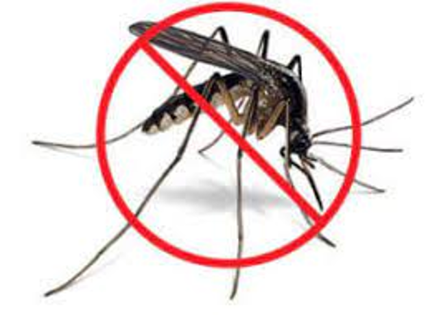 Misura di lotta alle zanzare:  Ord. n. 78 del 26 Aprile 2022 