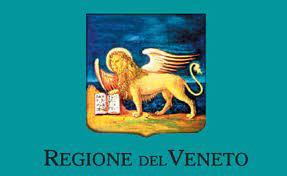 Ordinanza della Regione Veneto n. 156 del 24 novembre 2020